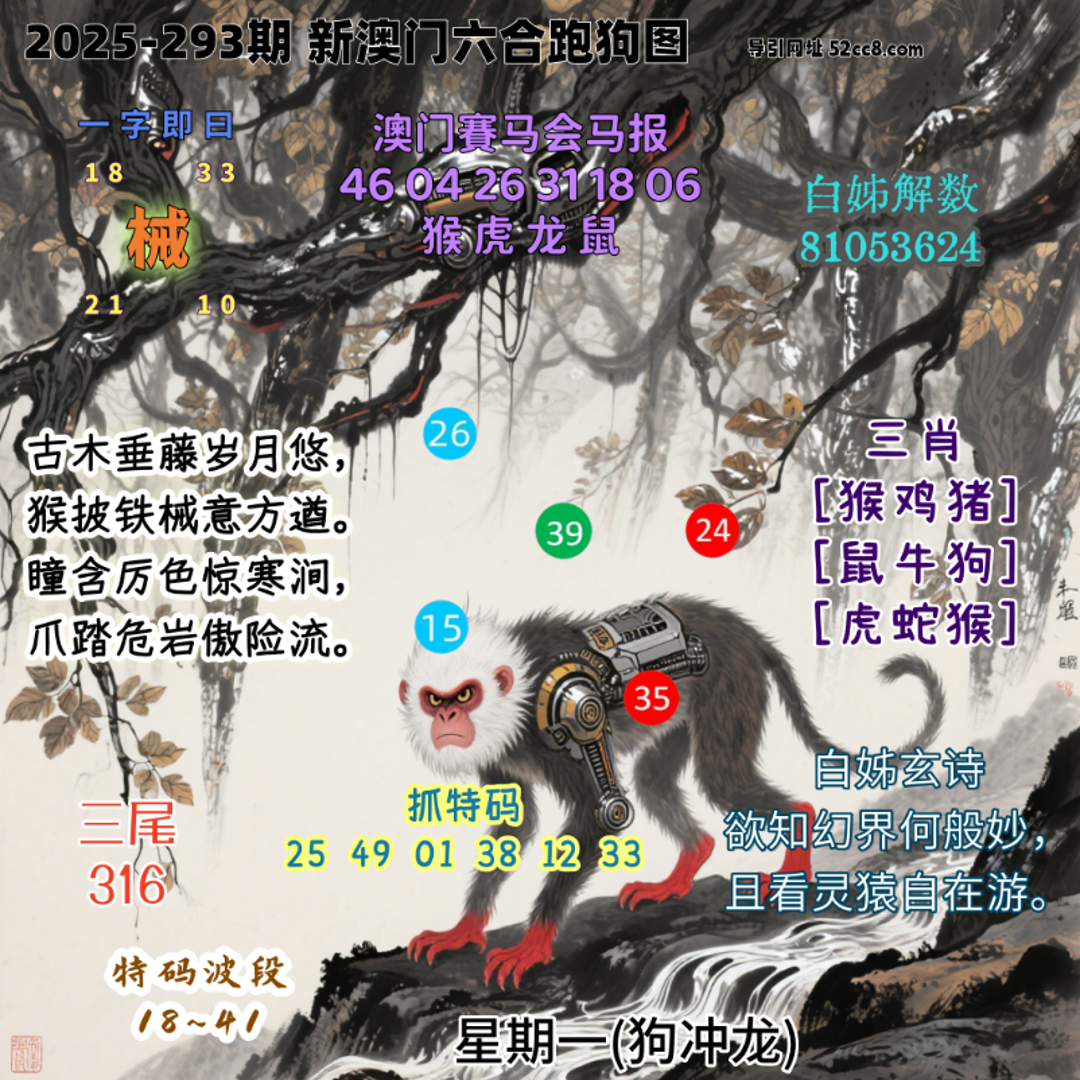 新澳门六合跑马图293期