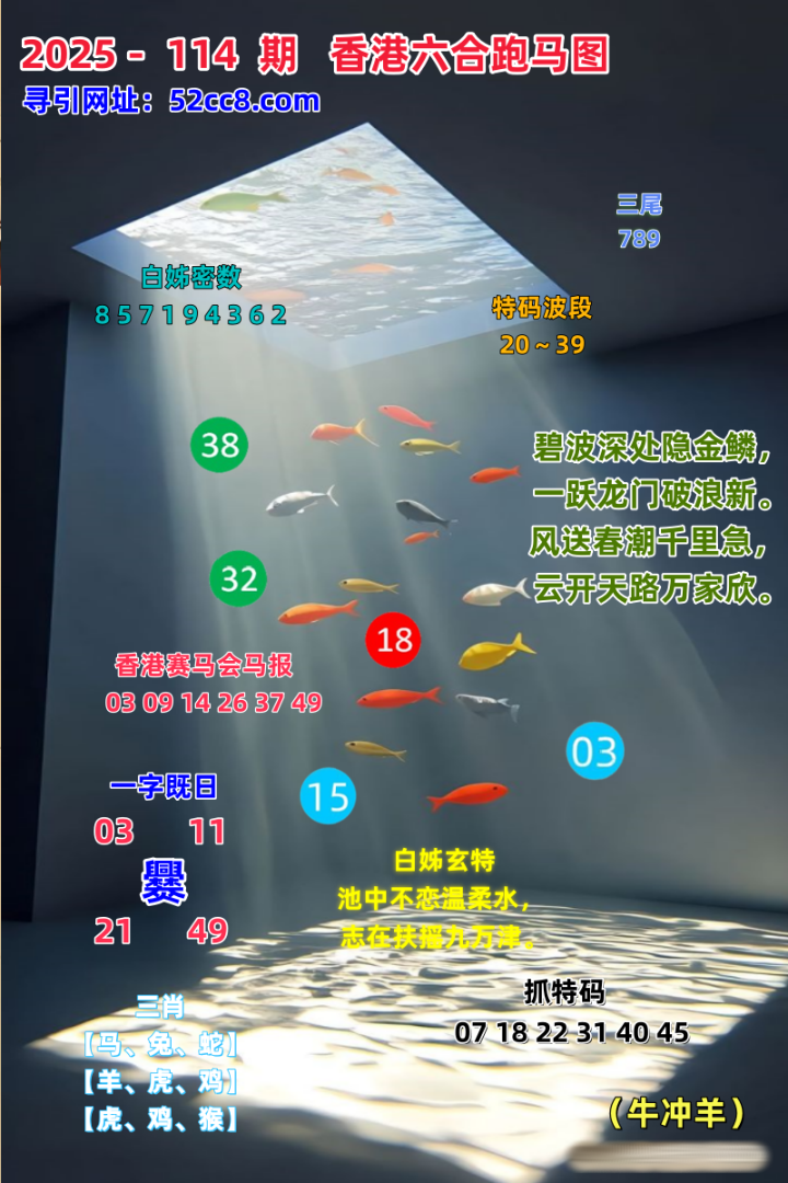 香港六合跑马图114期