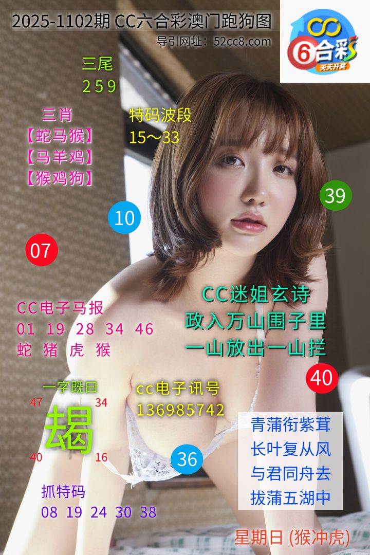 CC六合澳门跑马图1102期