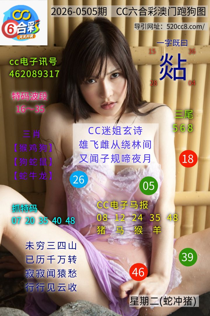 CC六合澳门跑马图0505期