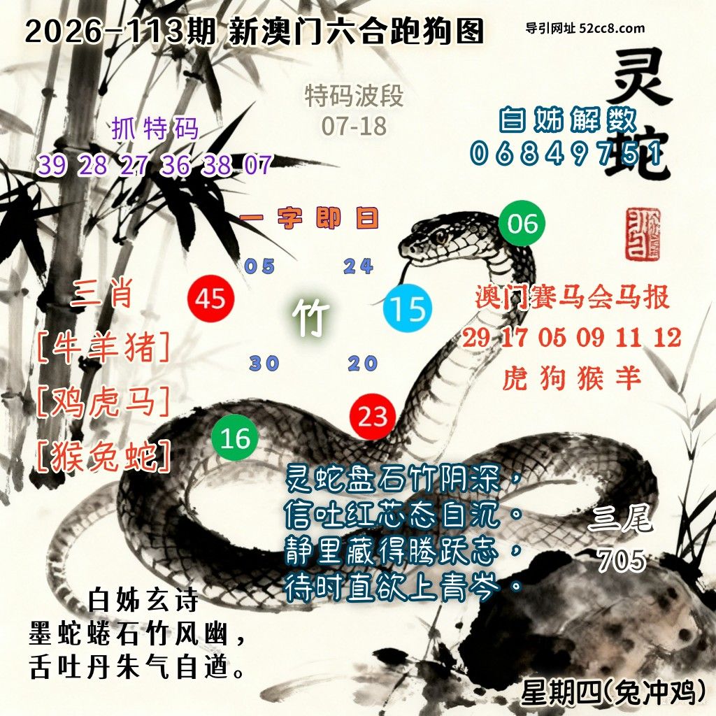 新澳门六合跑马图113期