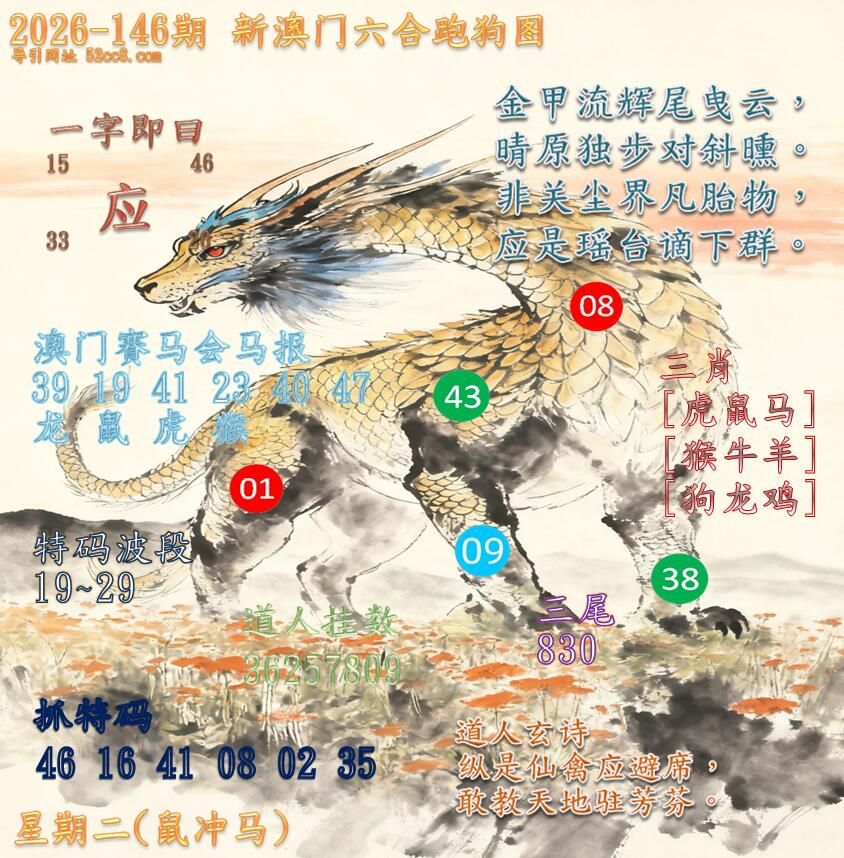 新澳门六合跑马图146期