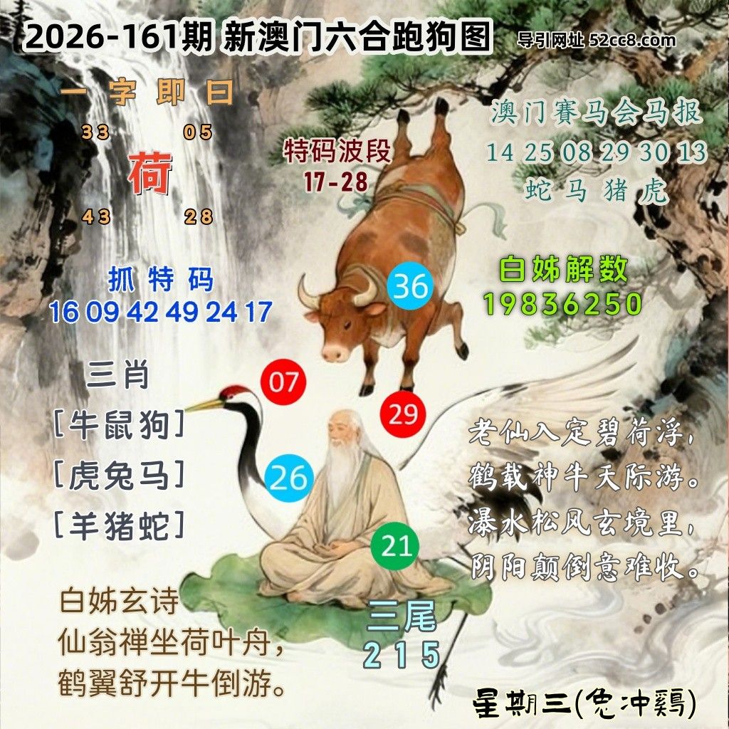 新澳门六合跑马图161期