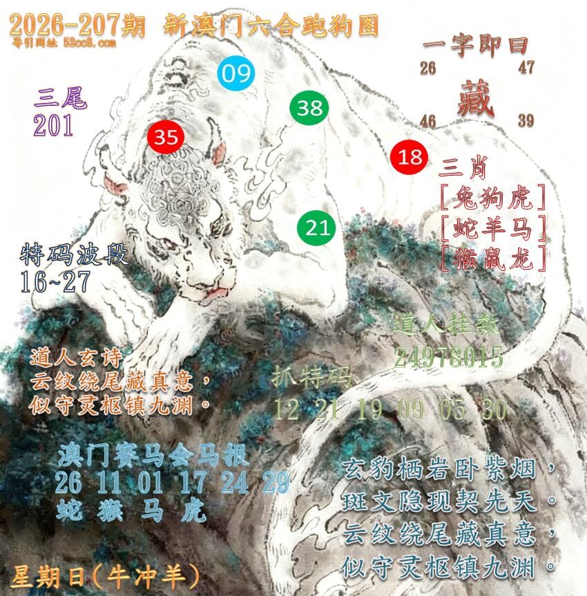 新澳门六合跑马图207期