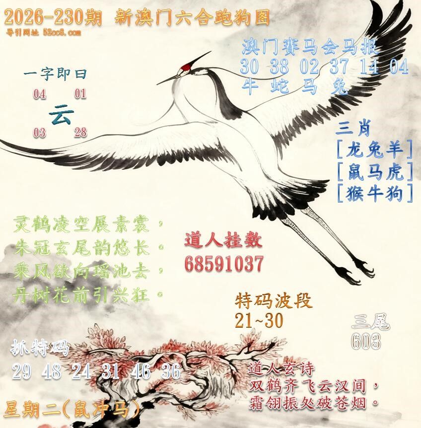 新澳门六合跑马图230期