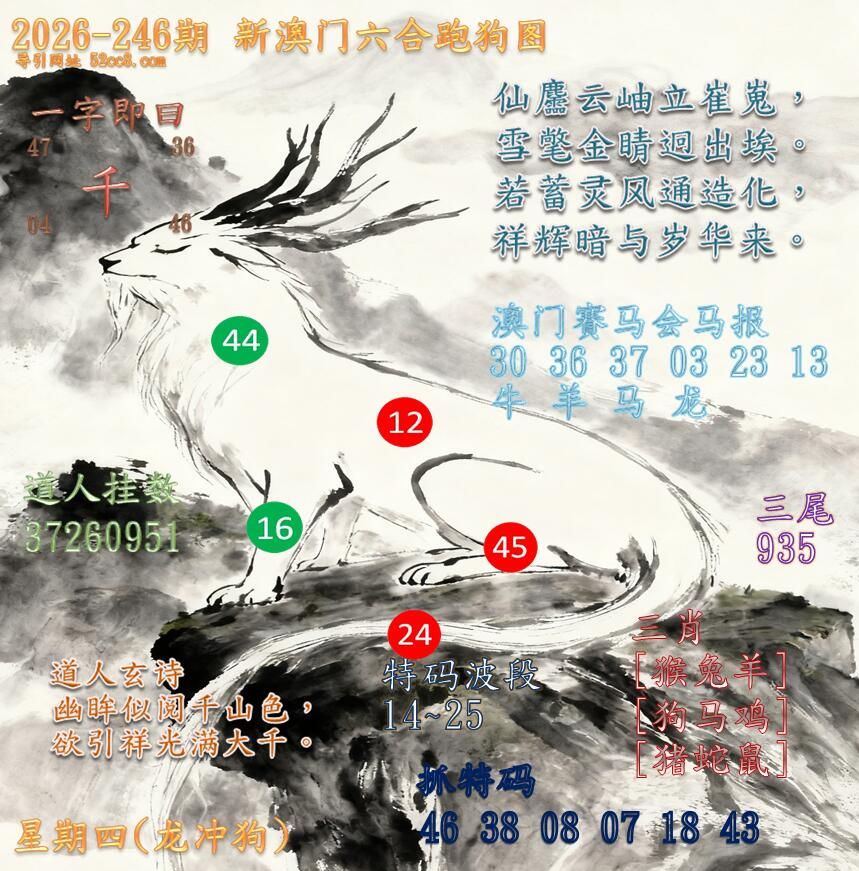 新澳门六合跑马图246期