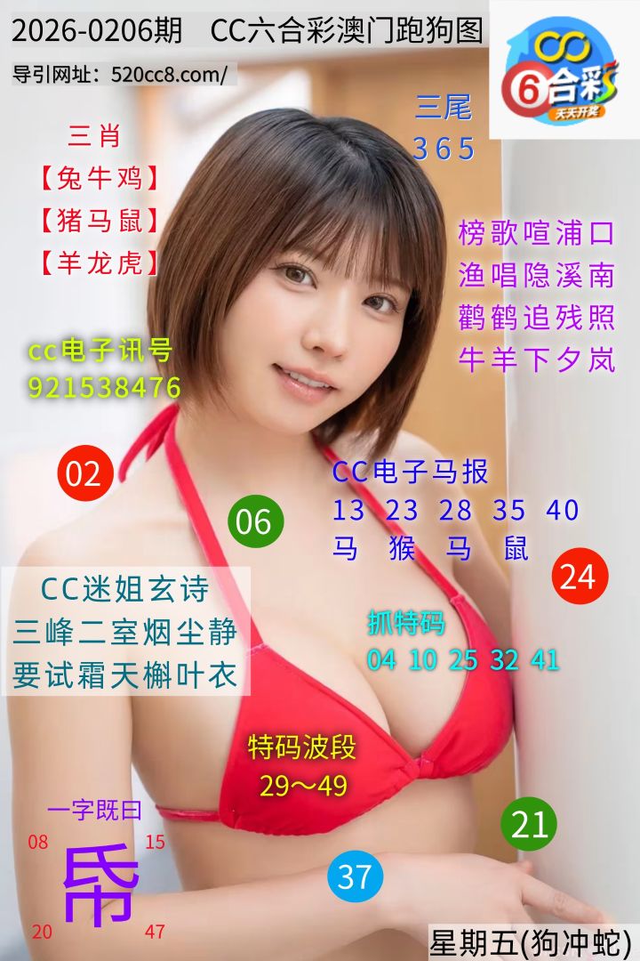 CC六合澳门跑马图0206期
