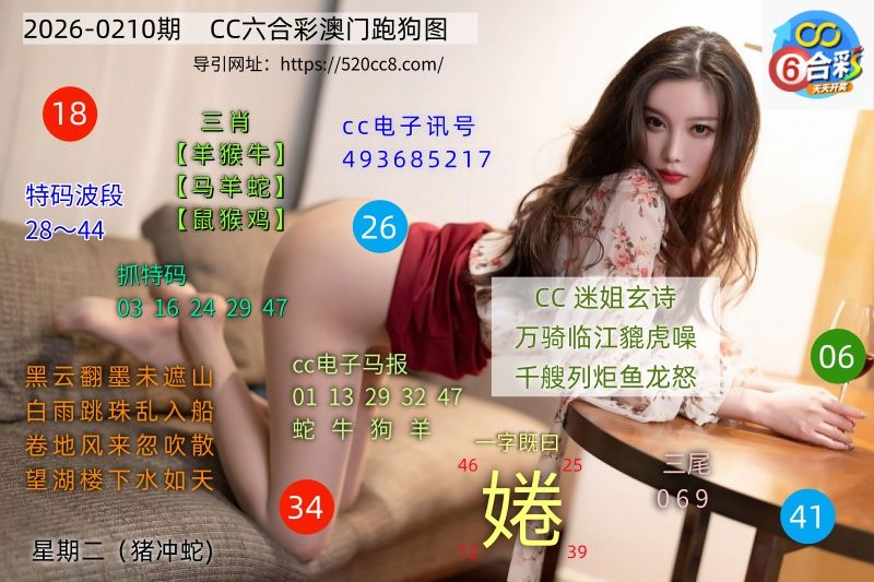 CC六合澳门跑马图0210期