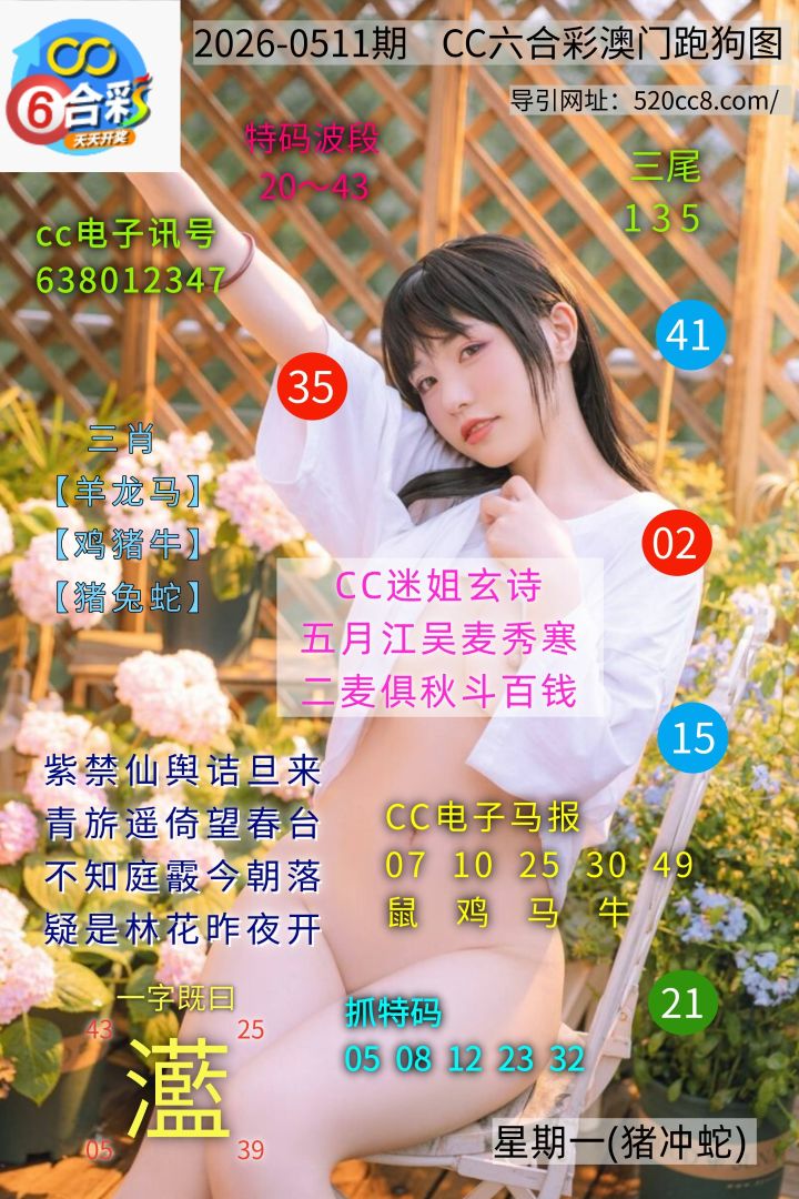 CC六合澳门跑马图0511期