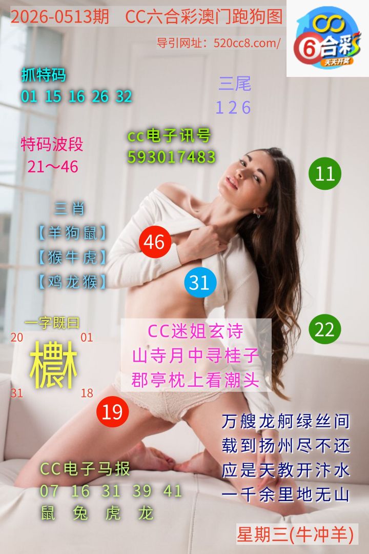 CC六合澳门跑马图0513期