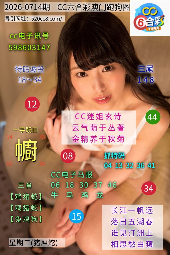 CC六合澳门跑马图0714期