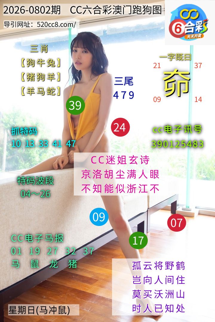 CC六合澳门跑马图0802期