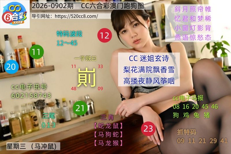 CC六合澳门跑马图0902期